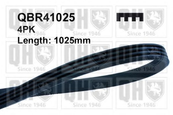 QUINTON HAZELL QBR41025 Поликлиновой ремень для JAGUAR VANDEN PLAS (Ягуар Vандэн плас) QUINTON HAZELL QBR41025 Поликлиновой ремень для JAGUAR VANDEN PLAS (Ягуар Vандэн плас)