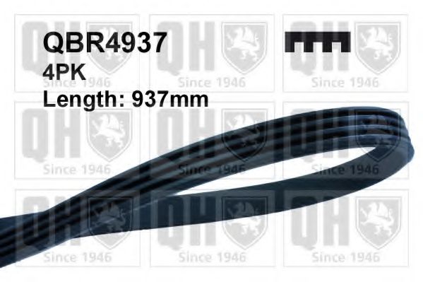QUINTON HAZELL QBR4937 Поликлиновой ремень для MITSUBISHI GALANT II (Митсубиши/митсубиси Галант 2) QUINTON HAZELL QBR4937 Поликлиновой ремень для MITSUBISHI GALANT II (Митсубиши/митсубиси Галант 2)