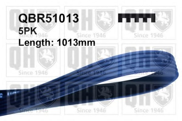 QUINTON HAZELL QBR51013 Поликлиновой ремень для FORD FIESTA (Форд Фиэста) QUINTON HAZELL QBR51013 Поликлиновой ремень для FORD FIESTA (Форд Фиэста)