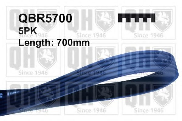 QUINTON HAZELL QBR5700 Поликлиновой ремень для FORD FIESTA (Форд Фиэста) QUINTON HAZELL QBR5700 Поликлиновой ремень для FORD FIESTA (Форд Фиэста)