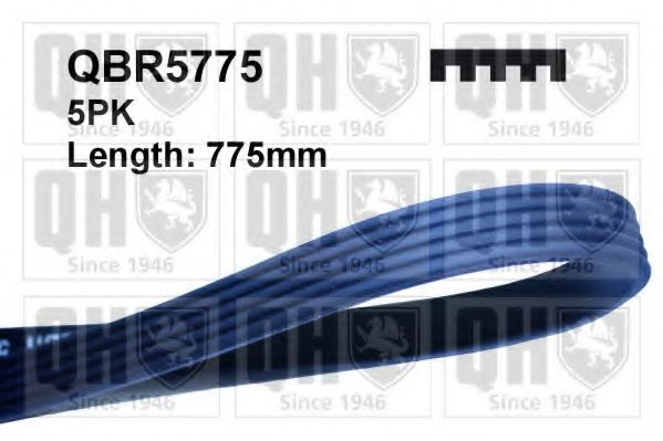 QUINTON HAZELL QBR5775 Поликлиновой ремень для SMART (Смарт) QUINTON HAZELL QBR5775 Поликлиновой ремень для SMART (Смарт)
