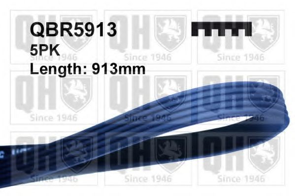 QUINTON HAZELL QBR5913 Поликлиновой ремень для FIAT TEMPRA (Фиат Тэмпра) QUINTON HAZELL QBR5913 Поликлиновой ремень для FIAT TEMPRA (Фиат Тэмпра)