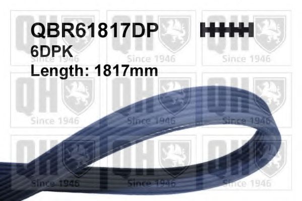 QUINTON HAZELL QBR61817DP Поликлиновой ремень для BMW (Бмв) QUINTON HAZELL QBR61817DP Поликлиновой ремень для BMW (Бмв)