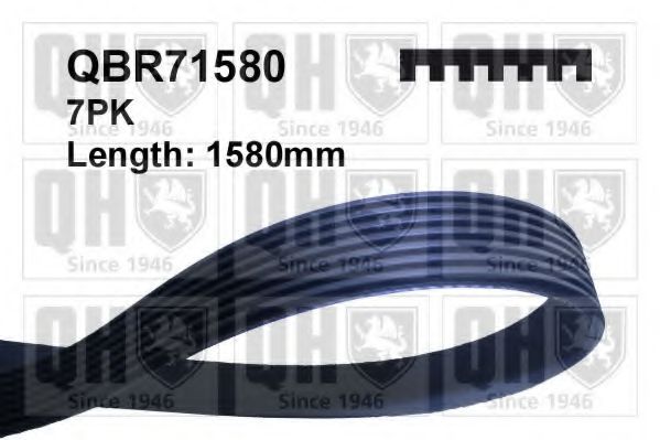 QUINTON HAZELL QBR71580 Поликлиновой ремень для LAND ROVER DEFENDER (Ленд ровер/лэнд ровер Дэфэндэр) QUINTON HAZELL QBR71580 Поликлиновой ремень для LAND ROVER DEFENDER (Ленд ровер/лэнд ровер Дэфэндэр)