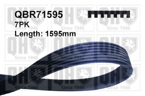QUINTON HAZELL QBR71595 Поликлиновой ремень для LAND ROVER DEFENDER (Ленд ровер/лэнд ровер Дэфэндэр) QUINTON HAZELL QBR71595 Поликлиновой ремень для LAND ROVER DEFENDER (Ленд ровер/лэнд ровер Дэфэндэр)