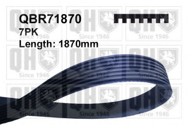 QUINTON HAZELL QBR71870 Поликлиновой ремень для TOYOTA BLADE (Тойота/тоета Бладэ) QUINTON HAZELL QBR71870 Поликлиновой ремень для TOYOTA BLADE (Тойота/тоета Бладэ)