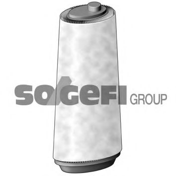 FRAM CA8985 Воздушный фильтр для BMW (Бмв) FRAM CA8985 Воздушный фильтр для BMW (Бмв)