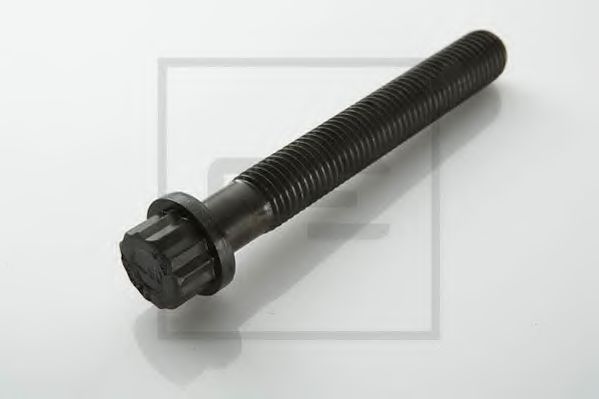 PE Automotive 010.082-00A Болт головки цилидра<br >Series 