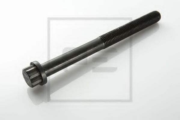 PE Automotive 010.084-00A Болт головки цилидра 