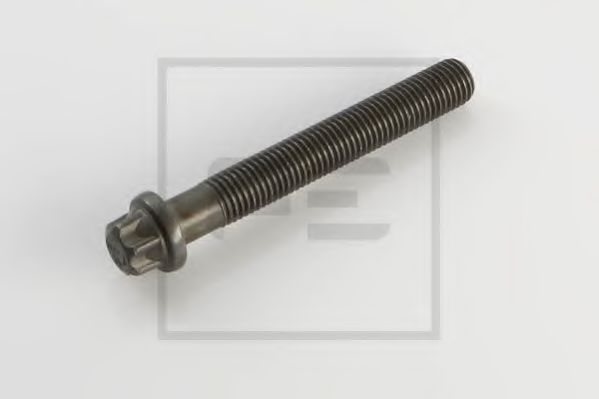 PE Automotive 030.069-00A Болт головки цилидра 