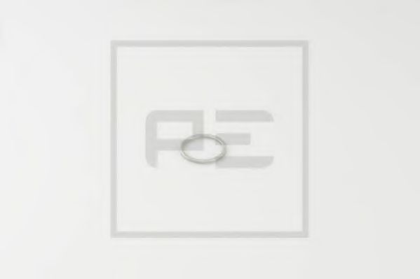 PE Automotive 031.157-00A Уплотнительное кольцо; Уплотнительное кольцо, подшипник рабочего вала; Уплотнительное кольцо, поворотного кулака 