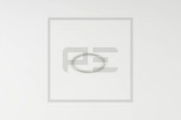 PE Automotive 031.158-00A Уплотнительное кольцо, подшипник рабочего вала; Уплотнительное кольцо, поворотного кулака 