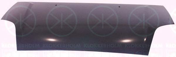 KLOKKERHOLM 2564281A1 Капот двигателя 