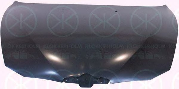 KLOKKERHOLM 0109284 Капот двигателя 