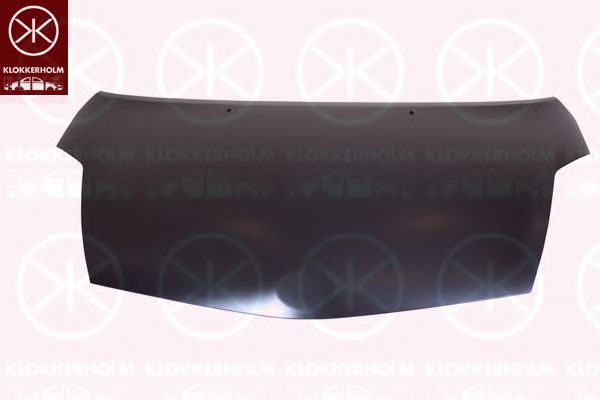 KLOKKERHOLM 8169281 Капот двигателя 