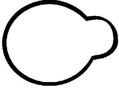 GLASER X53113-01 Прокладка, впускной коллектор для DAEWOO KORANDO (Дэу Корандо) GLASER X53113-01 Прокладка, впускной коллектор для DAEWOO KORANDO (Дэу Корандо)