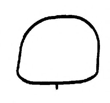 GLASER X88195-01 Прокладка, впускной коллектор для FORD FOCUS C-MAX (Форд Фокус с макс) GLASER X88195-01 Прокладка, впускной коллектор для FORD FOCUS C-MAX (Форд Фокус с макс)