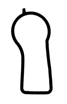 GLASER X59514-01 Прокладка, впускной коллектор для OPEL MERIVA B (Опель Мерива б) GLASER X59514-01 Прокладка, впускной коллектор для OPEL MERIVA B (Опель Мерива б)