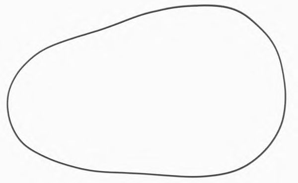 REINZ 40-76723-00 Прокладка, крышка головки цилиндра для DAF (Даф) REINZ 40-76723-00 Прокладка, крышка головки цилиндра для DAF (Даф)