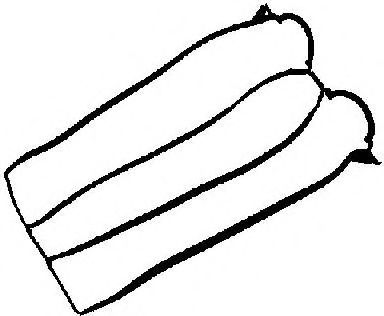 REINZ 71-33846-00 Прокладка, крышка головки цилиндра для MAZDA SOHO III (Мазда Сохо 3) REINZ 71-33846-00 Прокладка, крышка головки цилиндра для MAZDA SOHO III (Мазда Сохо 3)