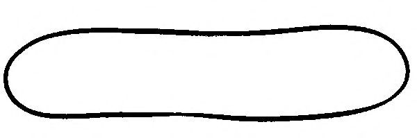 REINZ 71-52616-00 Прокладка, крышка головки цилиндра 