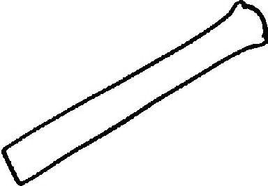 REINZ 71-52619-00 Прокладка, крышка головки цилиндра 