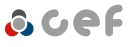 CEF 514829 Шланг сцепления для TOYOTA (Тойота/тоета) CEF 514829 Шланг сцепления для TOYOTA (Тойота/тоета)