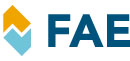 FAE 56008 Преобразователь давления, турбокомпрессор для VOLKSWAGEN (Фольксваген) FAE 56008 Преобразователь давления, турбокомпрессор для VOLKSWAGEN (Фольксваген)