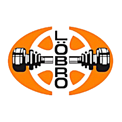 LÖBRO 301875 Приводной вал для RENAULT (Рено) LÖBRO 301875 Приводной вал для RENAULT (Рено)